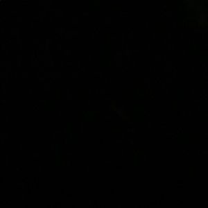 Meet your Posher, Lynnlea